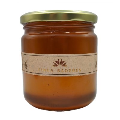 finca badenes, elaboración propia miel, miel de mil flores, campo, olivar, lavanda, romero