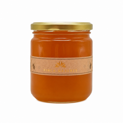 Miel de mil flores - 490gr elaboración propia en Finca Badenes
