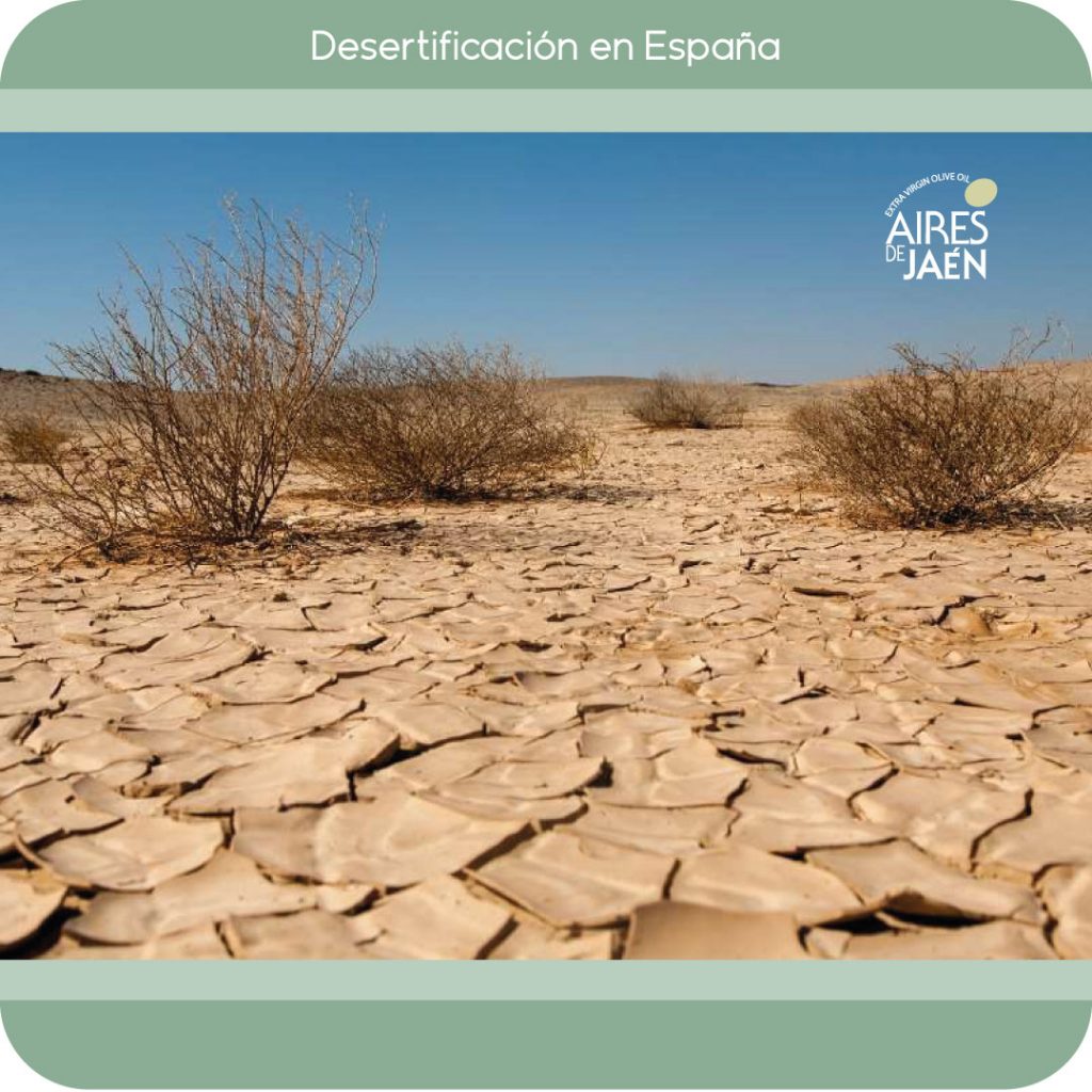 Desertificación España