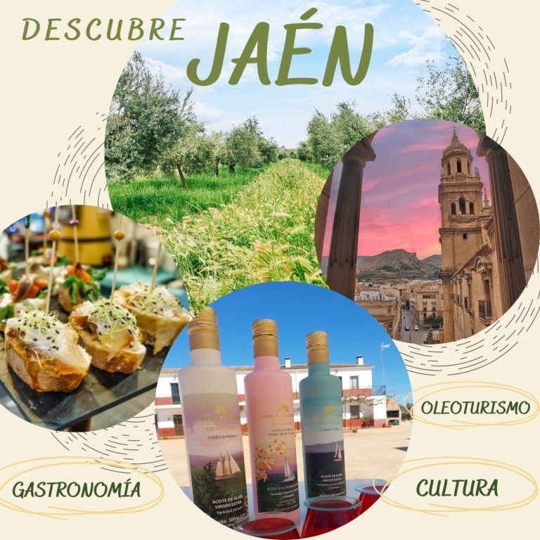 vive Jaén