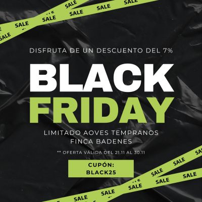 BLACK DESCUENTO ACEITE DE OLIVA