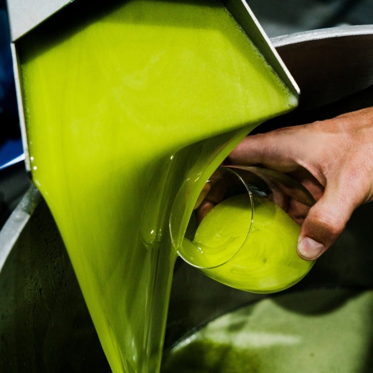 aove, evoo, aceite de jaen, finca badenes, aires de jaen, mitos aceite de oliva