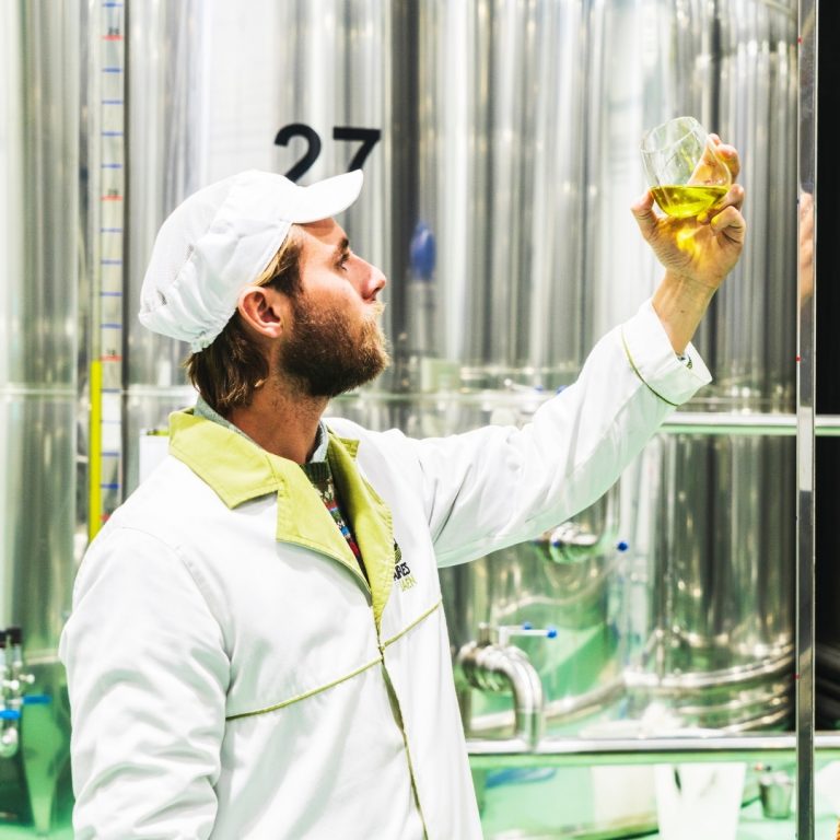 aove, eoo, mitos aceite de oliva, aires de jaen, finca badenes, oro liquido, aceite de jaen