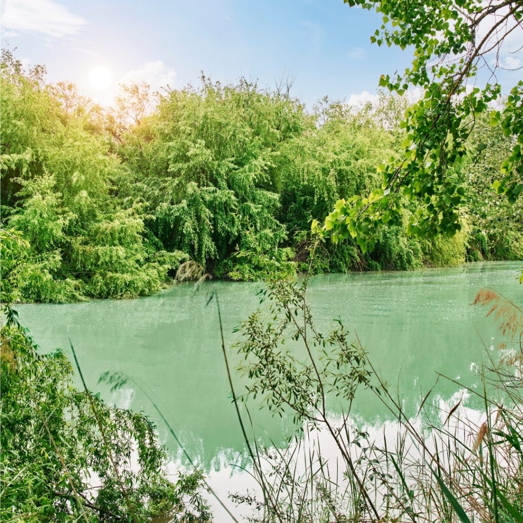 dia mundial del agua, aires de jaen, finca badenes, economia circular, sostenibilidad, aove, aceite de jaen