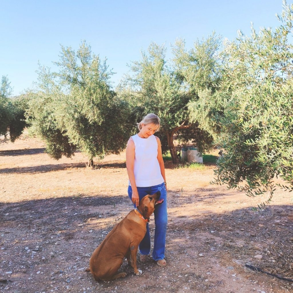 aires de jaen, finca badenes, aove, tribuna andalucia, exportacion, innovacion, turismo, empresa, aceite de jaen