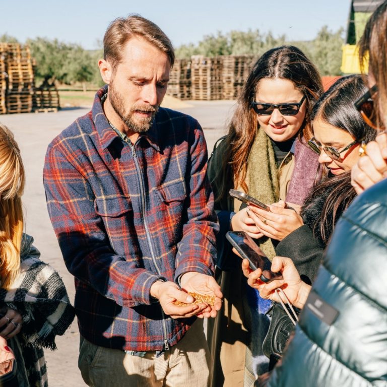 oleoturismo aires de jaen, turismo jaen, aove, aceite de oliva virgen extra, campaña aceituna, elaboración aceite de oliva, finca badenes, cultura