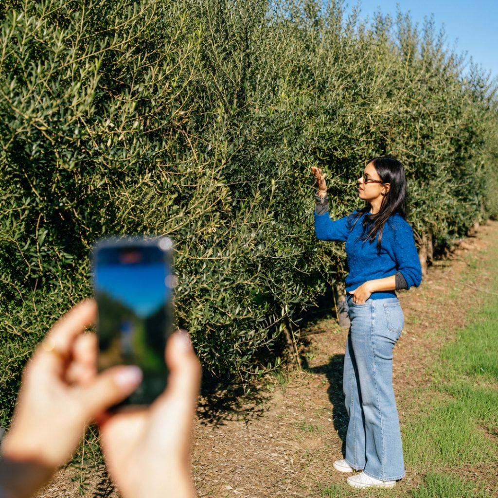 oleoturismo aires de jaen, oleoturismo jaen, oleoturismo, olive oil tour, aove, evoo, turismo jaen, slowtravel,
